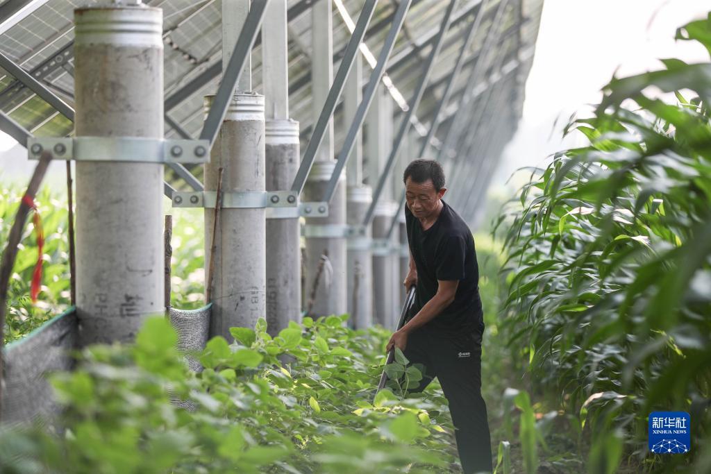mg手机游戏网址